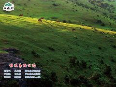 -大姆山草场
