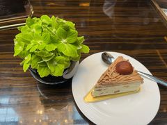 -行者书屋大堂吧 ·下午茶(南京圣和府邸酒店)