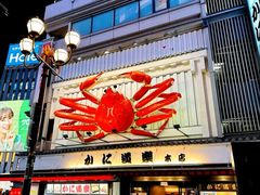 -蟹道乐(道顿堀本店)