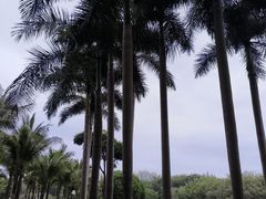 -深圳龙潭公园