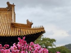 -普陀山风景名胜区-法雨禅寺