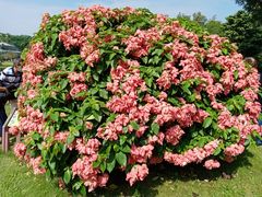 -华南国家植物园-售票处