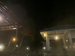 -深业半汤御泉庄温泉