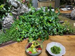 -森味薪火烧•烧鸟居酒屋•日本料理(望京店)