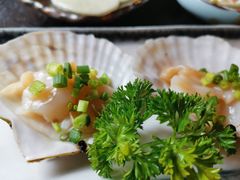 碳烤鲜活扇贝-虎焱炭火烧肉