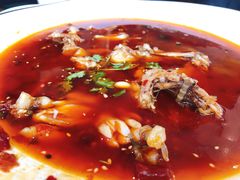 麻辣牛蛙-马头巷·食景园(苏州总店)