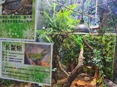 -上海昆虫博物馆