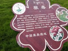-花湖生态旅游区
