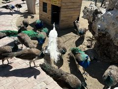 -水上乐园·欢乐世界