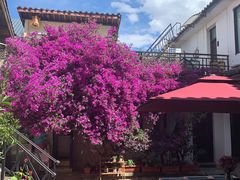 -浔岚云舍mist静谧观景美宿(丽江古城店)