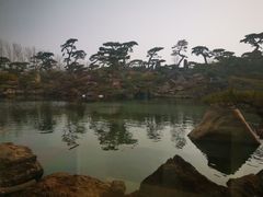 -罗红摄影艺术馆