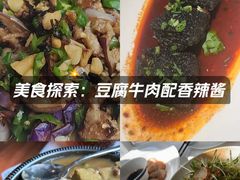 -凤凰湘语(浦东旗舰店)