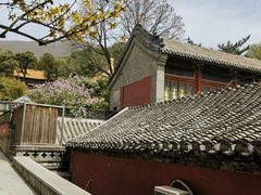 -潭柘寺景区