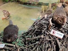 -陕西自然博物馆