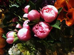 -BEAST野兽派(上海浦东嘉里城店)