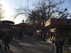 -朝阳公园游乐园