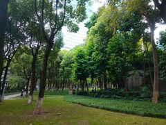 -重庆市江北嘴中央商务区中央公园