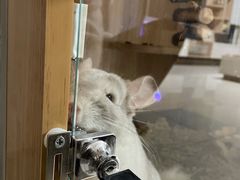 -龙猫仔乐园(惠福东路店)