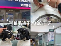 -宠颐生中康贝怡动物医院