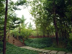 -桤木河湿地公园