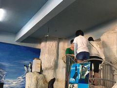 -泉州海丝野生动物世界