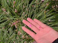 -浙江大学(玉泉校区)