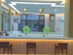 -宝生月子中心(独栋园林·福田店)