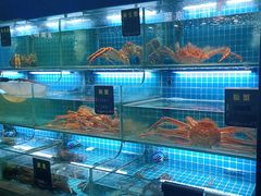 -鸽子侯·家宴·平价海鲜(市图书馆店)