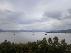 -杭州君悦酒店