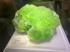 -湖南省地质博物馆