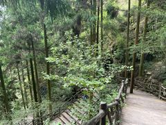 -刘伯温故里景区百丈漈