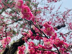 -静安雕塑公园