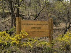 -北京鹫峰国家森林公园