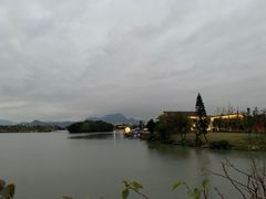 -三垟湿地
