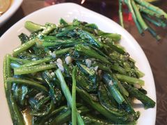 -福来齐·鲁菜海鲜·渔家菜(朝阳街分店)