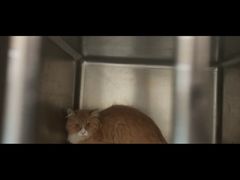 -萌兽医馆·犬猫专科·眼科中心·宠物医院(朝阳门分院)