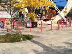 -庭苑美食中心·陈皮烧鹅·海鲜(台山店)