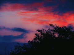 -望江楼公园