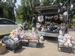 -海上花岛玫瑰园采摘