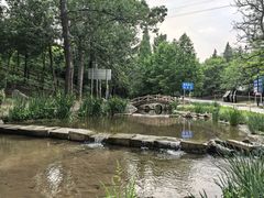 -白水寺森林公园