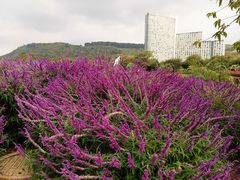 -月亮湾湿地公园