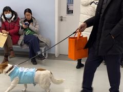 -中国农业大学动物医院