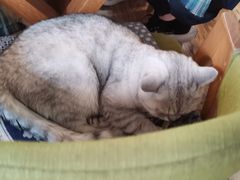 -不舍昼夜咖啡馆