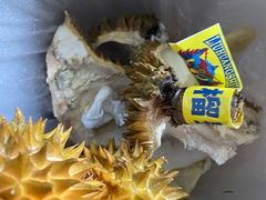 -城市批发中心(芙蓉汉城店)