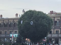-特克斯八卦城