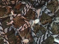 -盒马鲜生(莱蒙都会店)