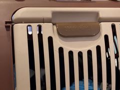 -纳吉亚猫专科动物医院·北北分院