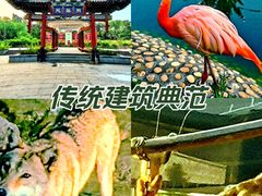 -太原动物园
