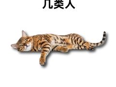-萌兽医馆·犬猫专科·眼科中心·宠物医院(朝阳门分院)