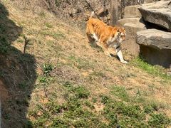 -太湖龙之梦